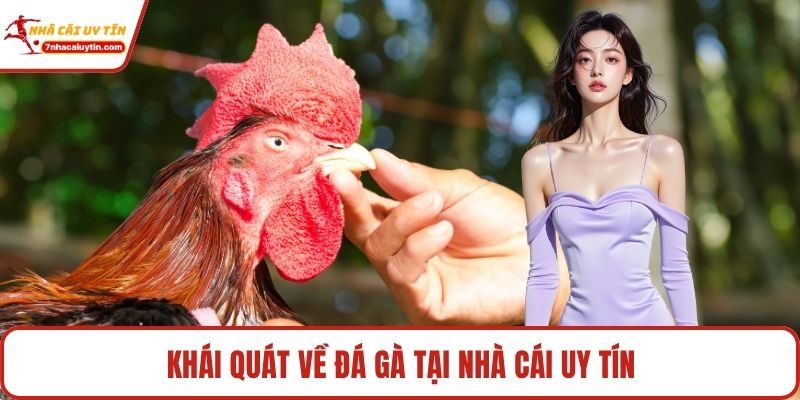 Khái quát về đá gà tại Nhà Cái Uy Tín