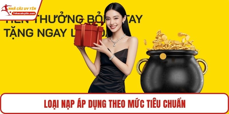 Loại nạp áp dụng theo mức tiêu chuẩn