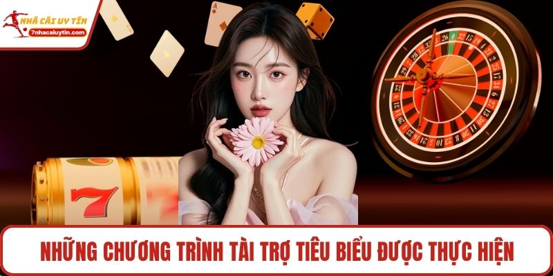 Những chương trình tài trợ tiêu biểu được thực hiện