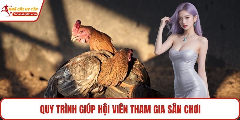 Quy trình giúp hội viên tham gia sân chơi