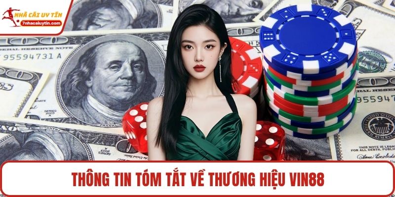Thông tin tóm tắt về thương hiệu Vin88