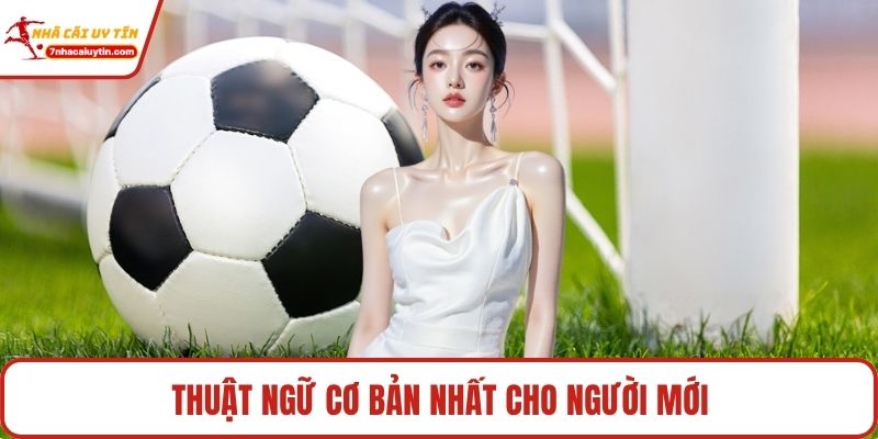 Thuật ngữ cơ bản nhất cho người mới