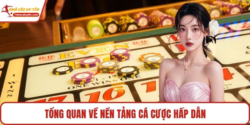 Tổng quan về nền tảng cá cược hấp dẫn